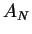 \( A_{N} \)